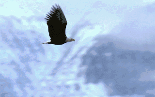 博威合金：公司目前具备压延合金铜箔的生产能力合金铜箔的加工难度较大附加值高是在动态柔性运动领域高速传输的专用材料